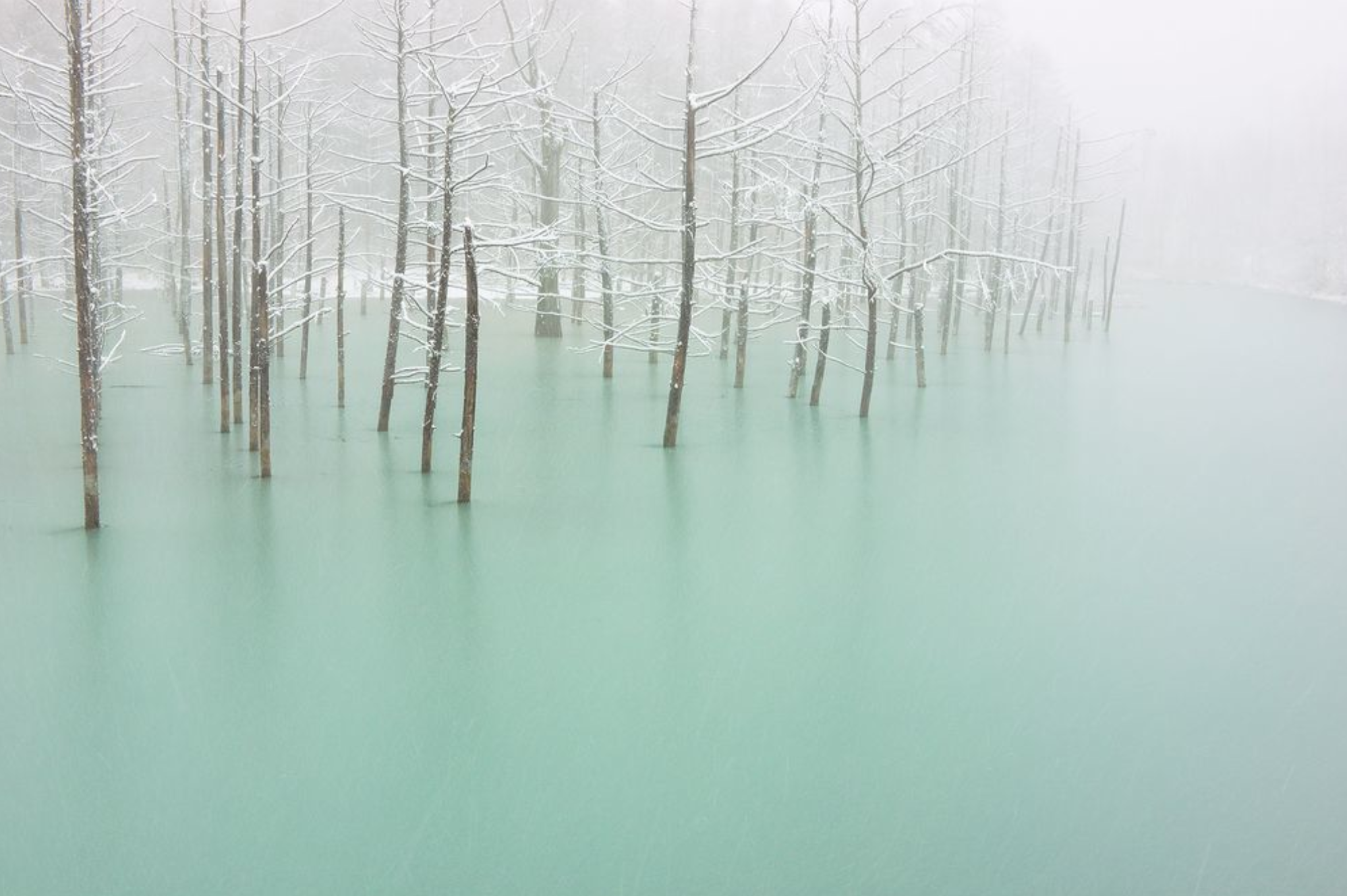 写真家・ケント白石さんによるもう一枚の「青い池」がナショナルジオグラフィックに掲載されています