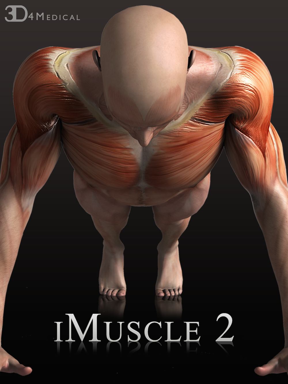パーソナルトレーニングで筋肉強化！iPadで筋肉の動きをチェック