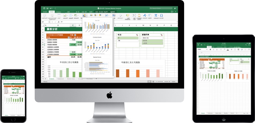 Excel for Mac (2016) でセルを選択すると強制的に日本語入力が選択される問題の対処方法