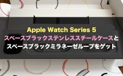 Apple Watch Series 5 スペースブラックステンレススチールケースとスペースブラックミラネーゼループをゲット