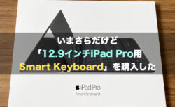 いまさらだけど「12.9インチiPad Pro用Smart Keyboard」を購入した