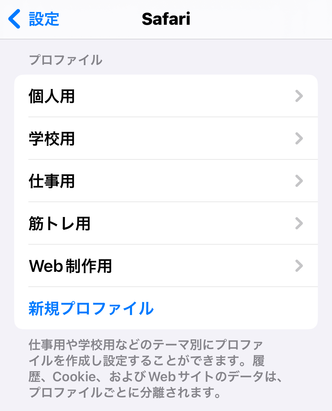 iPhoneのSafari プロファイル